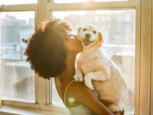 Managing Separation Anxiety: Simple Tips for Pet Parents