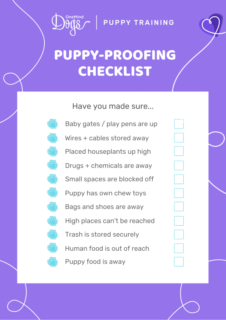 Puppy-Proofing Checklist: Essential Steps for a Safe Home