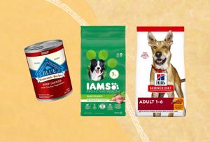 Best Puppy Food Brands: Top Choices for Your Furry Friend's Health