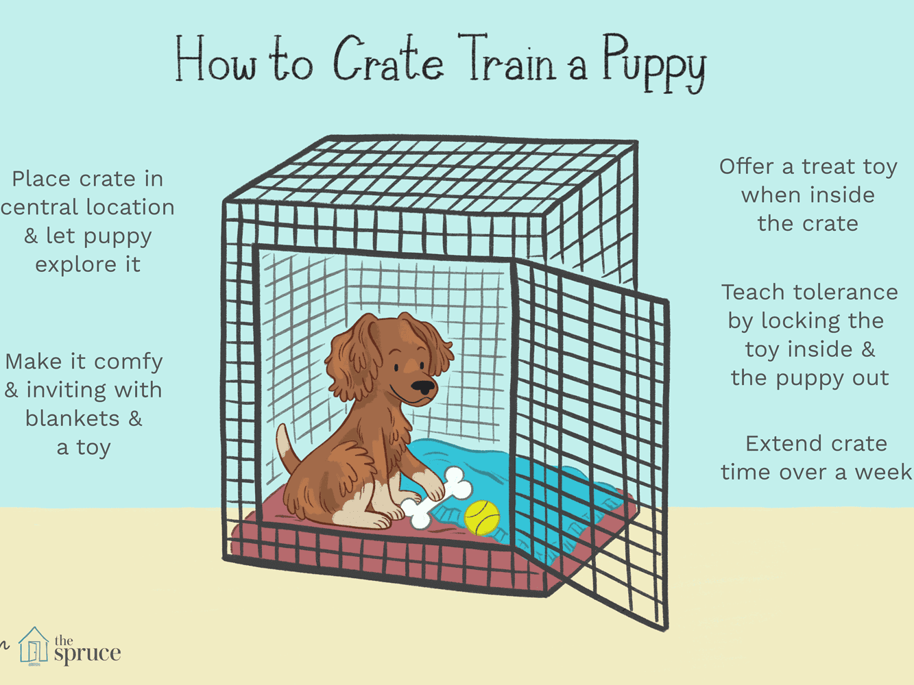 Crate Training Tips: A Friendly Guide to Happy Pups